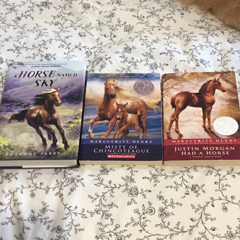 Hardcover A Horse named Sky and softcover horse books